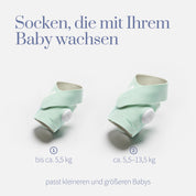 Das Owlet Dream Sock Set Mint (Gr. 1 + Gr. 2) von Owlet enthält zwei mintgrüne Babysocken mit aufgesetzten weißen Fühlern, passend für bis zu 5,5 kg und 5,5-13,5 kg - flexible Sockengrößen, die mit Ihrem Baby wachsen.